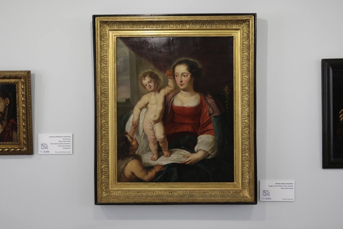 Ampliación del museo de los Carmelitas del Santo Ángel