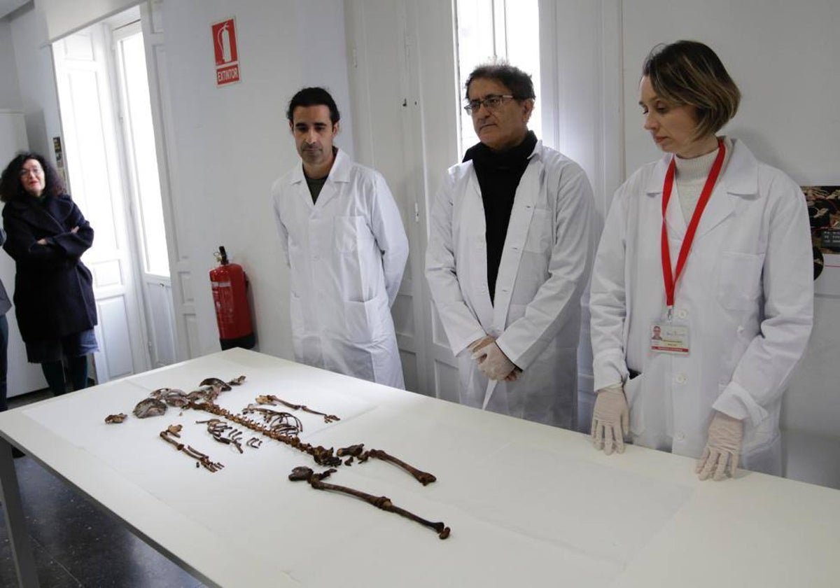 Los huesos de una niña hallados en el Alcázar, junto a parte del equipo que ha trabajado en la investigación durante dos años