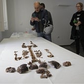 Los expertos no ven vinculación de la niña del Alcázar con la Familia Real