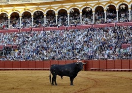 Así se podrán ver los festejos taurinos en OneToro: ya hay fecha para abonarse