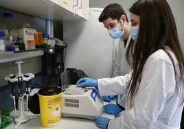 El hospital Virgen del Rocío lidera un ensayo con células madre que frena las secuelas del ictus
