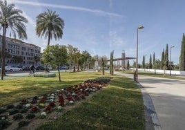 La reurbanización del Paseo de Torneo culminará antes de Semana Santa