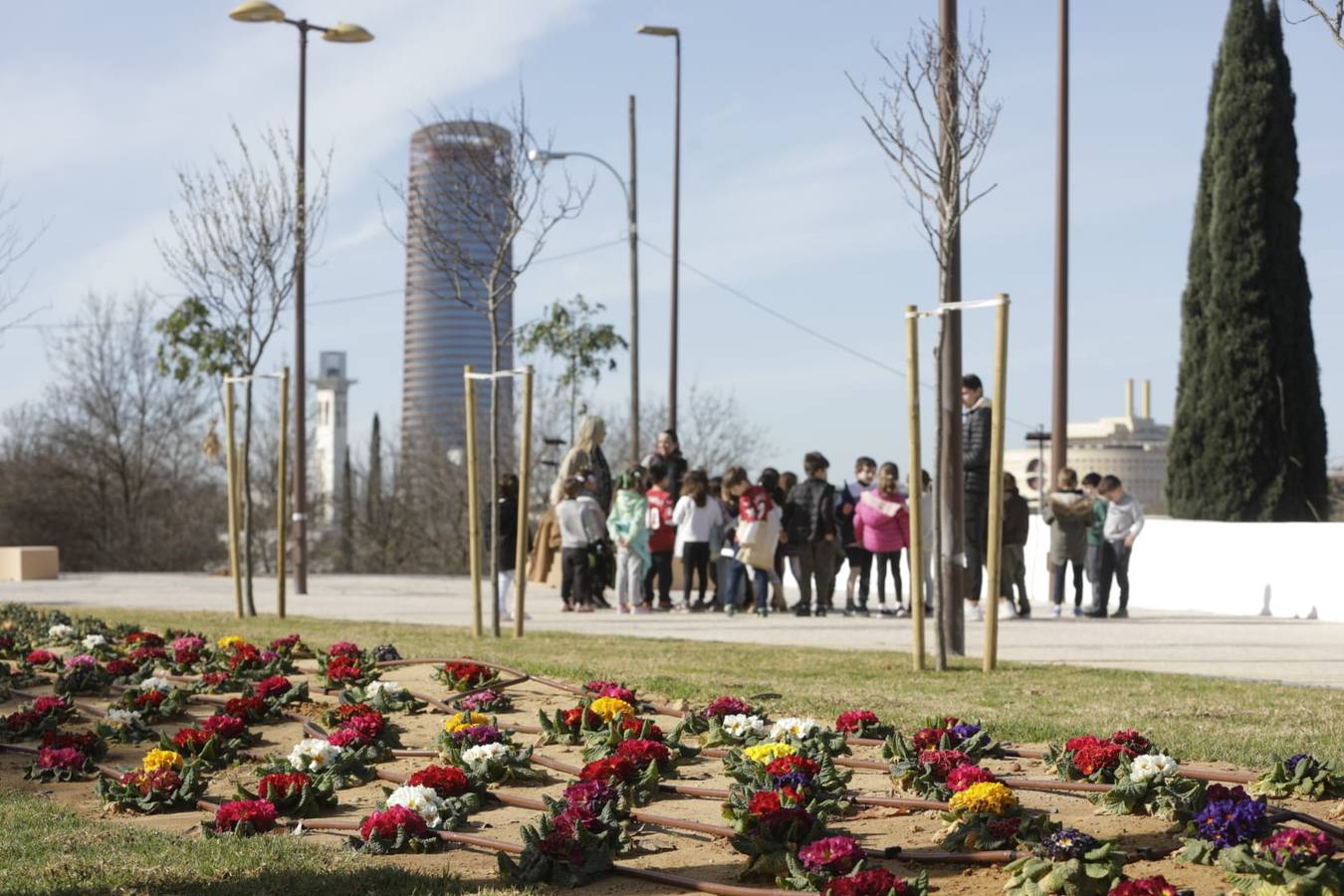 Los sevillanos ya pueden disfrutar de este nuevo tramo de la calle Torneo y de la plaza