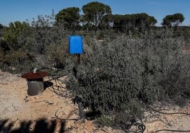 Piden cárcel para cinco hermanos, dueños de una finca en Aznalcázar, por sacar agua ilegalmente de Doñana