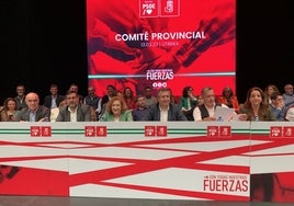 Los 16 alcaldes del PSOE que no se presentarán a las elecciones municipales del 28-M en la provincia de Sevilla