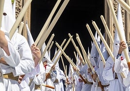 Hermandades y Cofradías del Domingo de Ramos en Sevilla