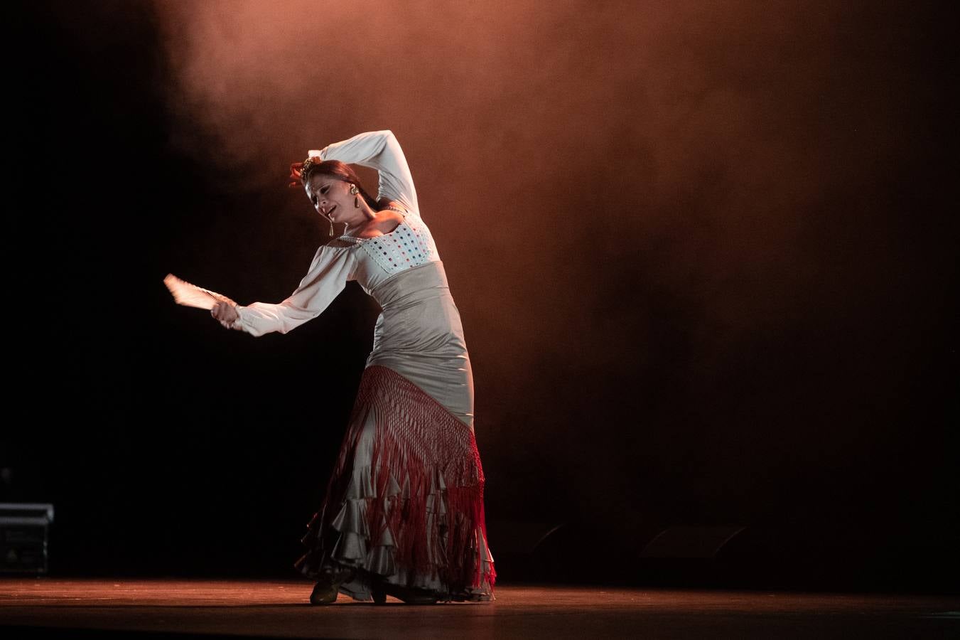 Diferentes momentos de la gala flamenca a beneficio de la Asociación DalecandELA