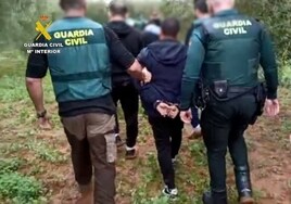 La Guardia Civil recupera 26 toneladas de cítricos robados en el campo sevillano