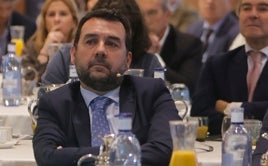 Pedro Zubiría