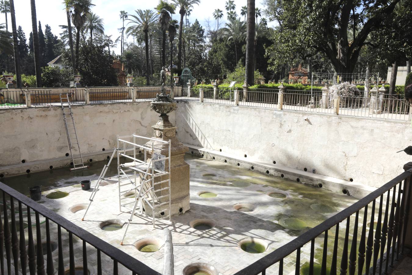 Imágenes de la fuente del Alcázar y los numerosos detalles que han salido a la luz