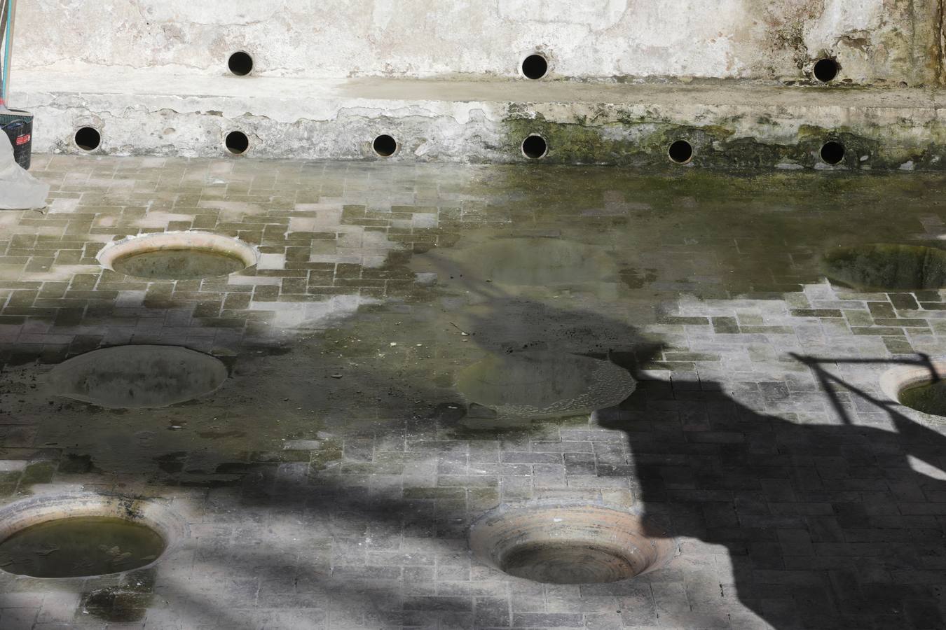 Imágenes de la fuente del Alcázar y los numerosos detalles que han salido a la luz