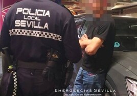 Detenido por masturbarse ante varios niños en el aseo de un centro comercial de Sevilla