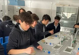 Los alumnos del colegio Sagrada Familia de Urgel participan en el Proyecto Micro Mundo de la Universidad de Sevilla