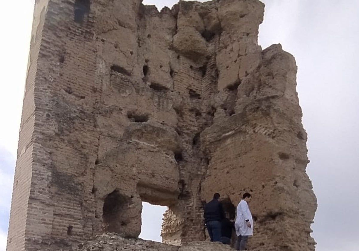 Investigadores trabajando en la Torre de los Herberos