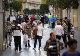 Sevilla gana 2.000 habitantes en la revisión del padrón que hace el Ayuntamiento