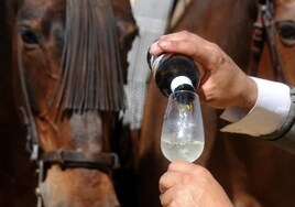 La manzanilla será la reina de la Feria con 1,5 millones de botellas consumidas en toda la semana