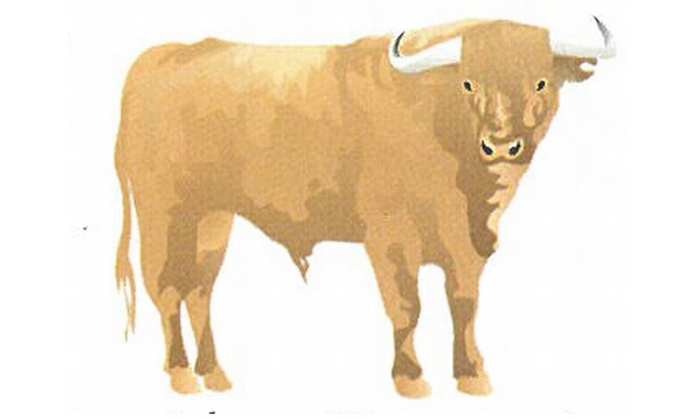 Jabonero / Sampunero / Charrengue