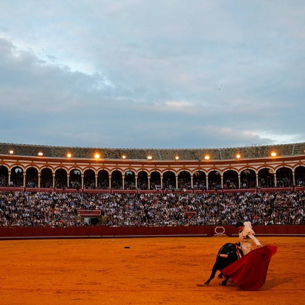 Radiografía de una corrida de toros en la Real Maestranza de Sevilla