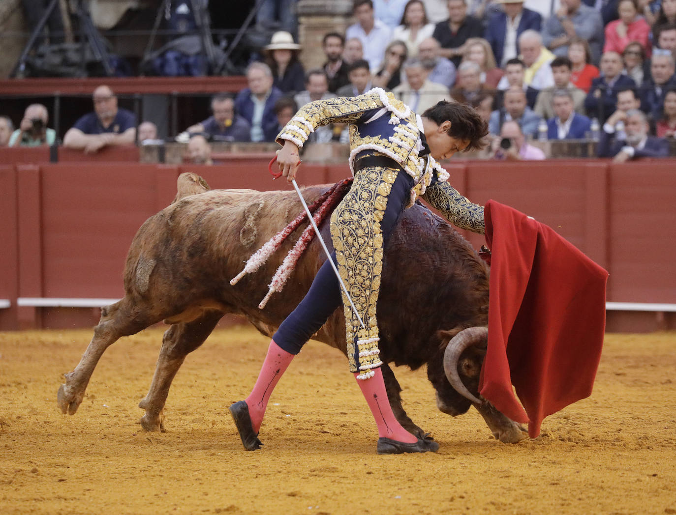 Roca Rey triunfa en la corrida de Núñez del Cuvillo y sale en hombros de la Maestranza de Sevilla