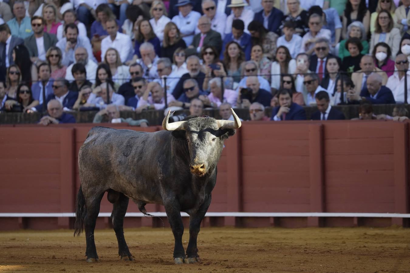 Detalles de la plaza de toros de Sevilla durante la corrida de Victorino Martín