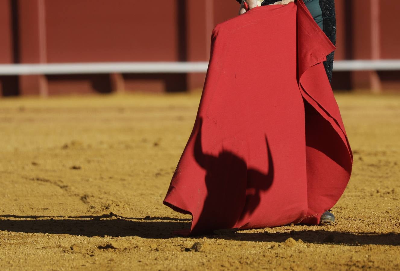 Detalles de la plaza de toros de Sevilla durante la corrida de Victorino Martín