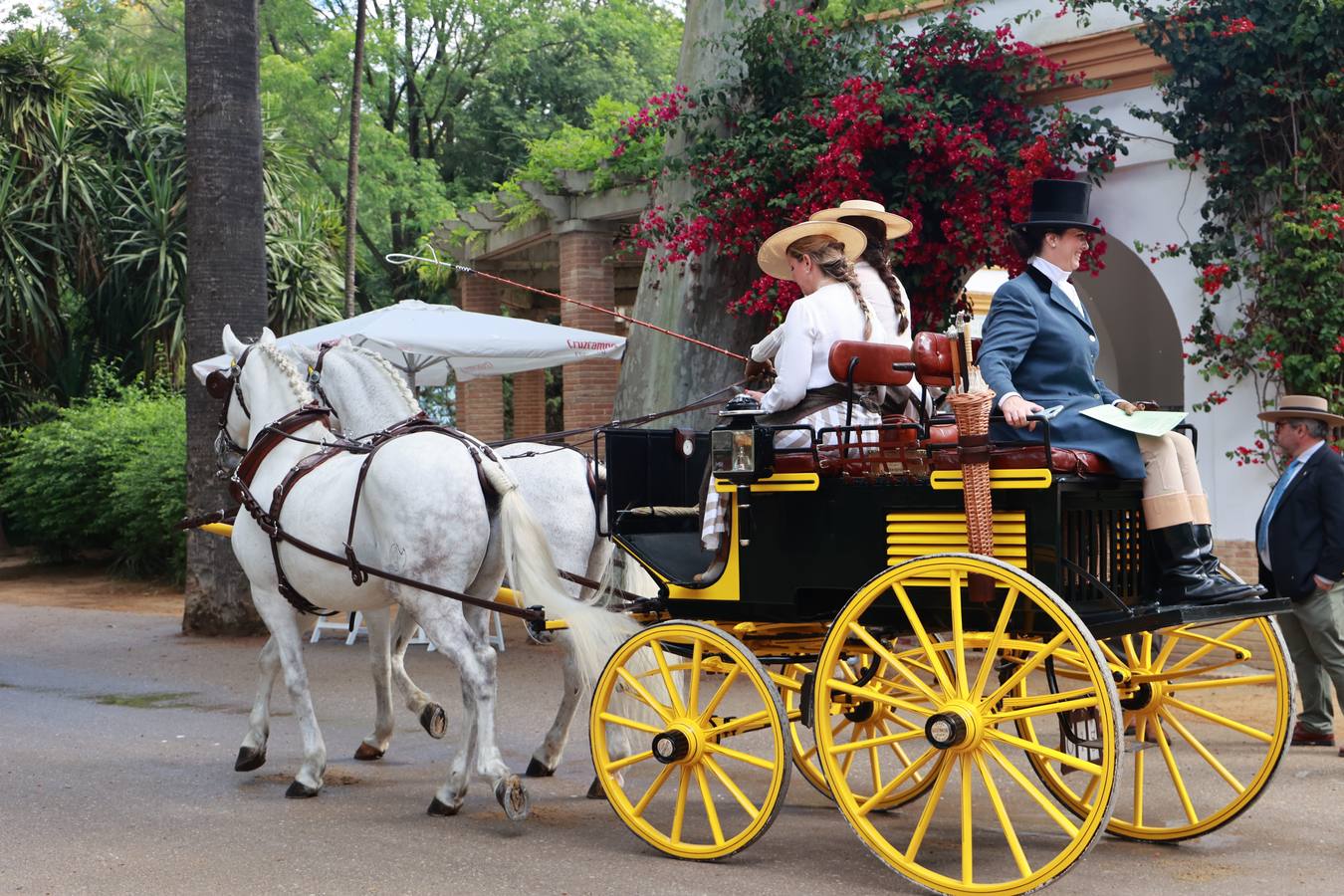 Participantes en el XI Campeonato Internacional de Enganches de Tradición (CIAT) y la Copa de Naciones, en la Plaza de España