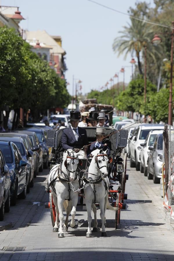 Participantes en el XI Campeonato Internacional de Enganches de Tradición (CIAT) y la Copa de Naciones, en la Plaza de España