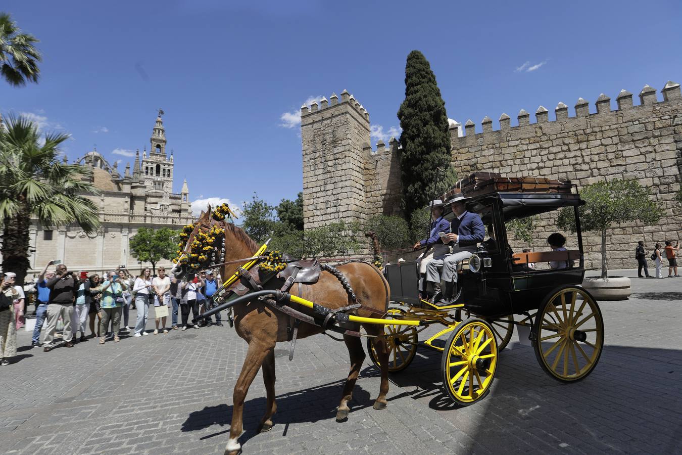 Participantes en el XI Campeonato Internacional de Enganches de Tradición (CIAT) y la Copa de Naciones, en la Plaza de España
