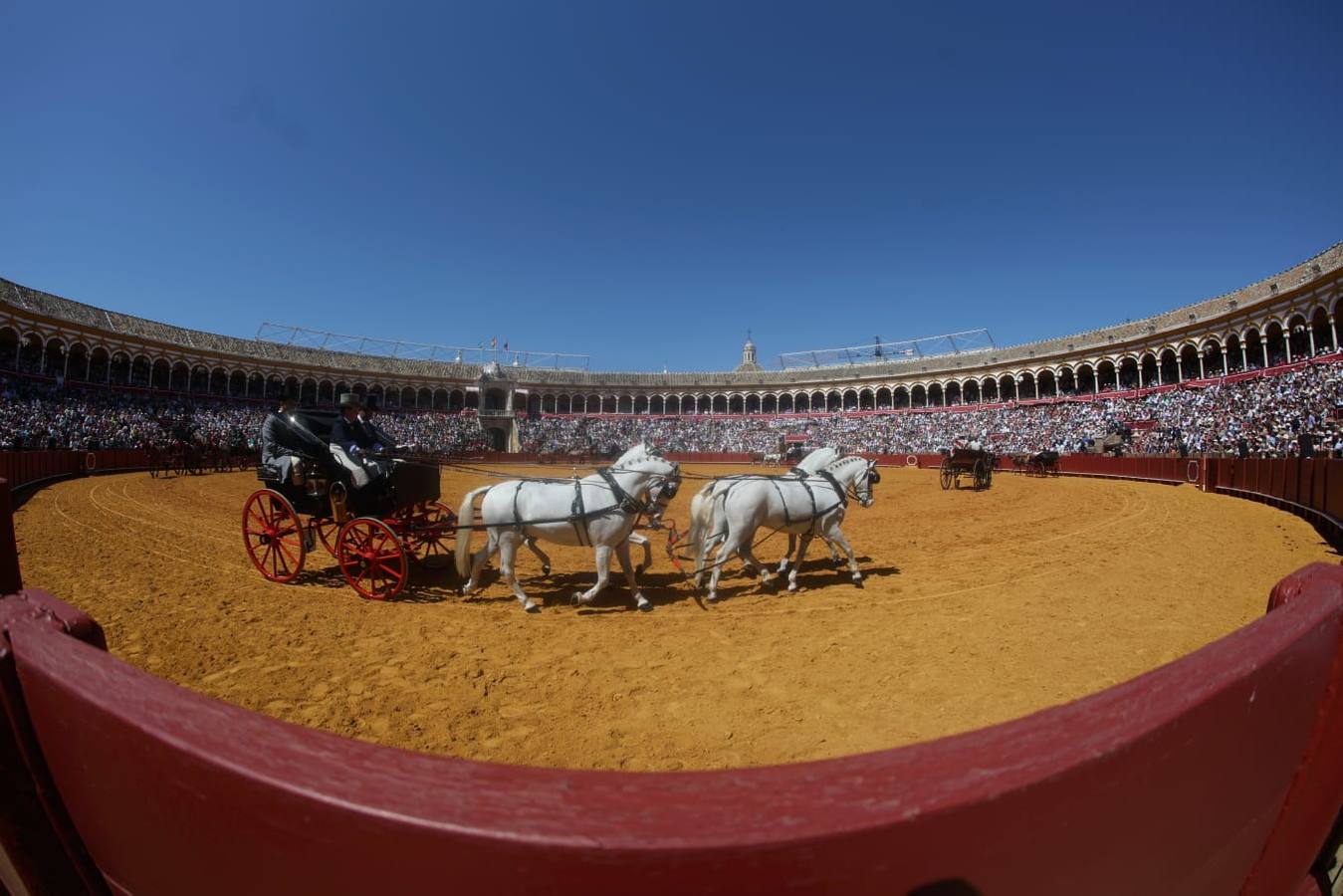 Exhibición de Enganches de 2023 en la Real Maestranza de Caballería de Sevilla