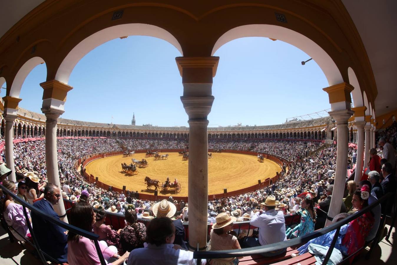 Exhibición de Enganches de 2023 en la Real Maestranza de Caballería de Sevilla