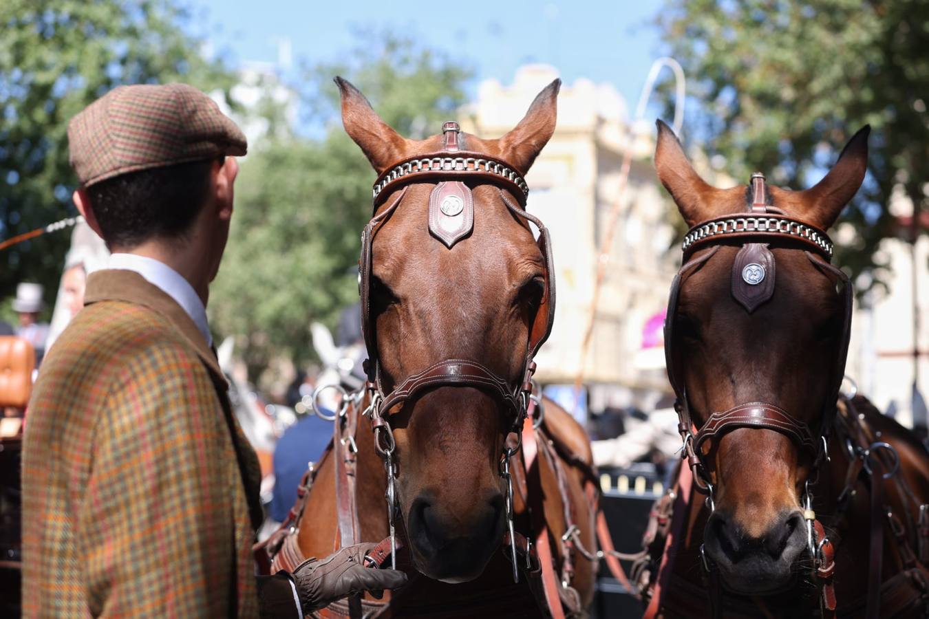 Exhibición de Enganches de 2023 en la Real Maestranza de Caballería de Sevilla