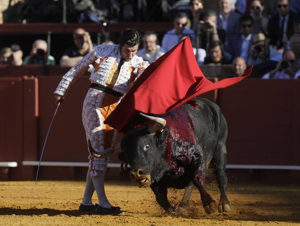 Faena de Morante de la Puebla, en la plaza de toros de Sevilla