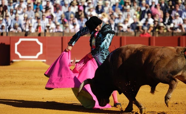 Sublime faena de Morante en Sevilla: corta un rabo después de medio siglo