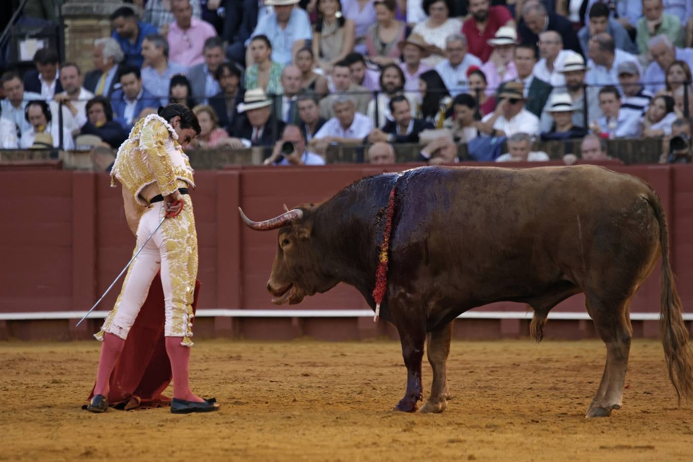 Juan Ortega, este miércoles en el coso sevillano