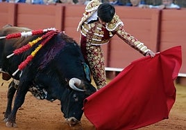 Marcos Linares gana el Circuito de Novilladas de Andalucía tras sufrir una grave cornada en la Maestranza