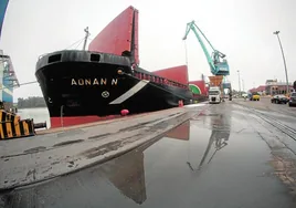 El Puerto de Sevilla denuncia a los prácticos por no facilitar la entrada de buques a los muelles