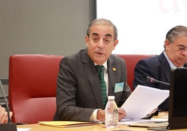 El rector de la Universidad de Sevilla irá a los tribunales si se ofrecen plazas en los centros adscritos a los que acusa de «intereses empresariales»