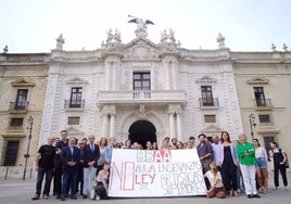 La Universidad de Sevilla muestra su «rechazo» a la «equiparación» de las escuelas de Arte con las facultades