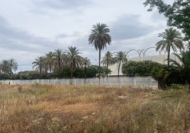 La Junta de Andalucía analiza cómo evitar que la parcela del Palenque en la Cartuja de Sevilla se quede vacía