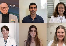 Ingenieros de la Universidad de Sevilla abren el camino para conservar de forma indefinida corazones y otros órganos