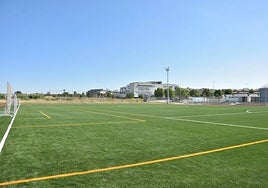 Máster en Neurociencia y Rendimiento del Futbolista del IP CEU Andalucía, formación especializada para los profesionales del sector