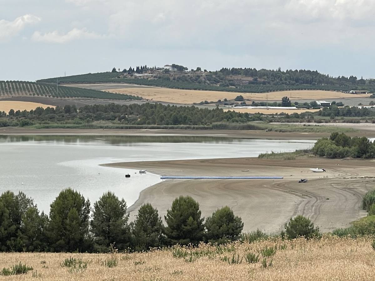 El estado actual del agro sevillano, donde los agricultores no han podido sembrar debido a la sequía