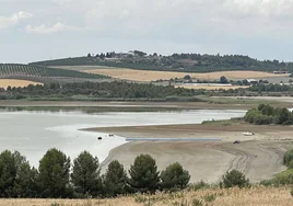 Proyecto pionero en la provincia de Sevilla: una desalinizadora para regar el campo con el agua salada del río