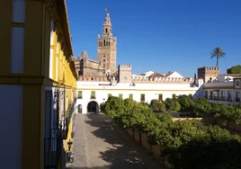 Un turista se despista y se queda atrapado en una azotea del Patio de Banderas del Alcázar de Sevilla