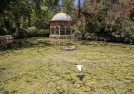 La Isleta de los Patos de Sevilla tendrá un nuevo sistema de aireación para evitar algas y muertes de los peces