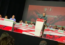 El PSOE elige a Javier Fernández para ser el próximo presidente de la Diputación de Sevilla
