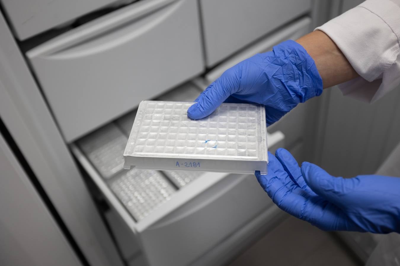 Dependencias y trabajadores del laboratorio para equinos de la ANCCE