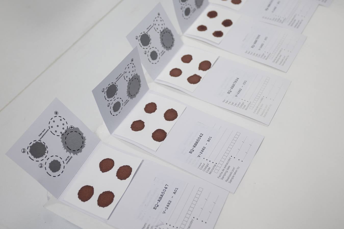 Dependencias y trabajadores del laboratorio para equinos de la ANCCE