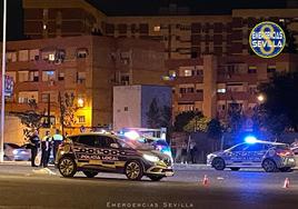 Muere atropellada en un paso de peatones en Sevilla por un conductor que dio positivo en drogas