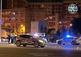 Un nuevo atropello mortal perpetrado por un conductor drogado en Sevilla